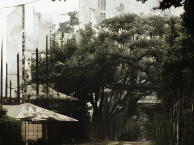 太原西南商贸城，新闻与展望